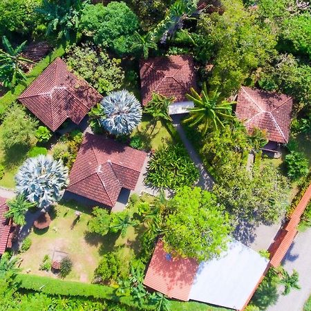 Casa Marcellino Lodge Cahuita Bagian luar foto