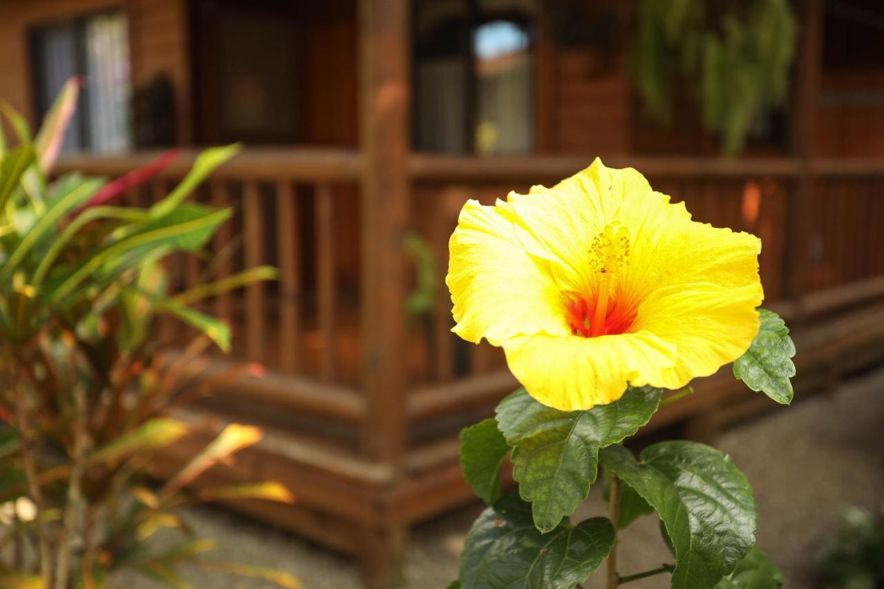 Casa Marcellino Lodge Cahuita Bagian luar foto