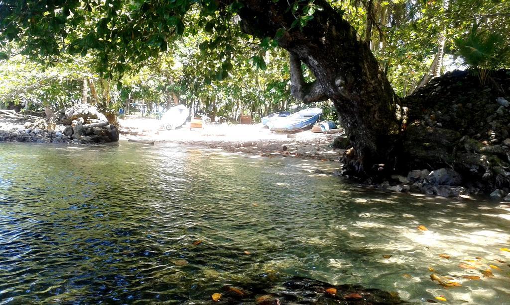 Casa Marcellino Lodge Cahuita Bagian luar foto