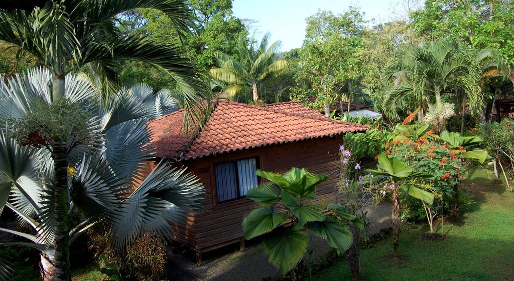 Casa Marcellino Lodge Cahuita Bagian luar foto
