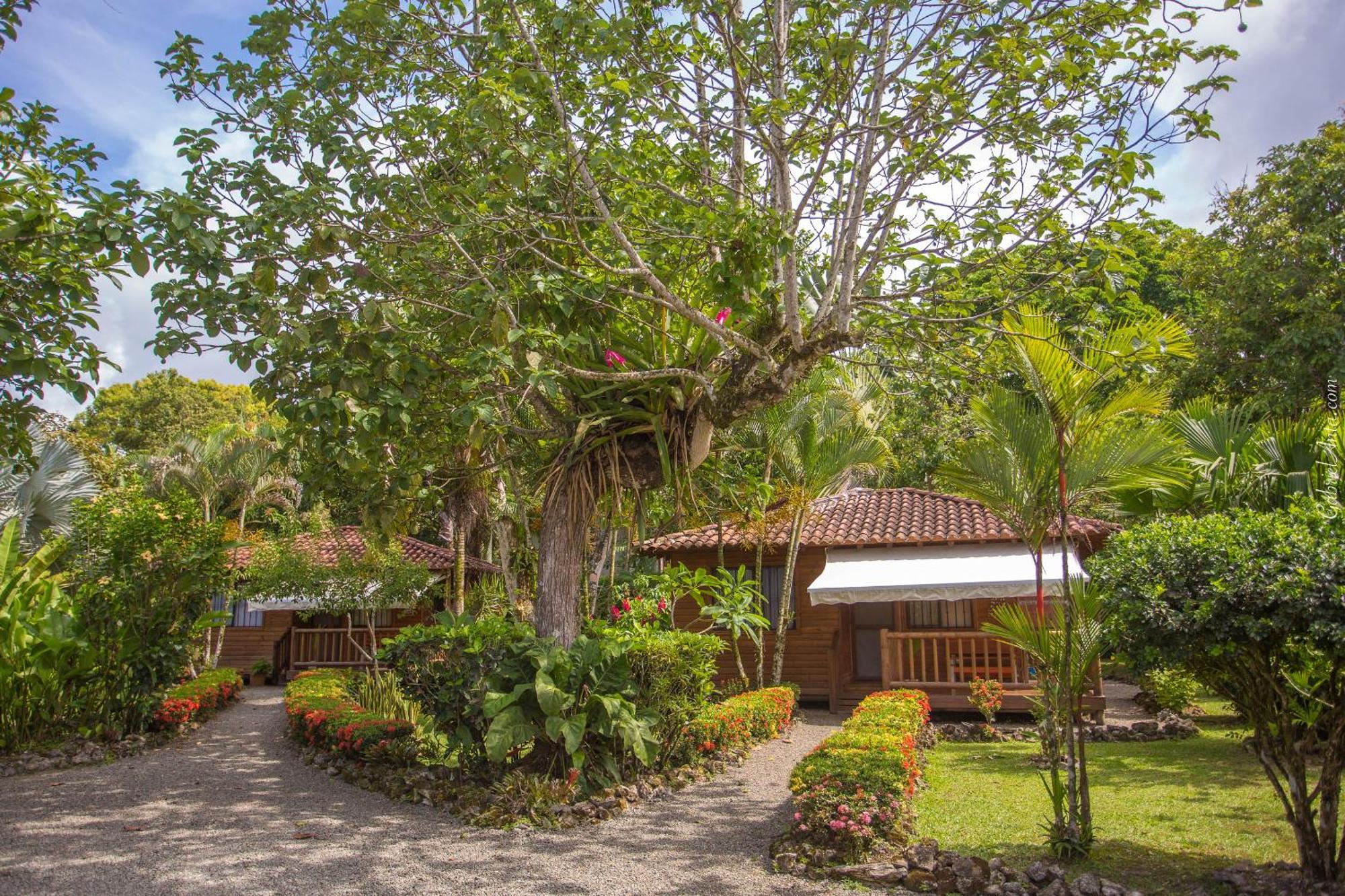 Casa Marcellino Lodge Cahuita Bagian luar foto