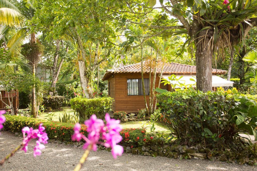 Casa Marcellino Lodge Cahuita Bagian luar foto