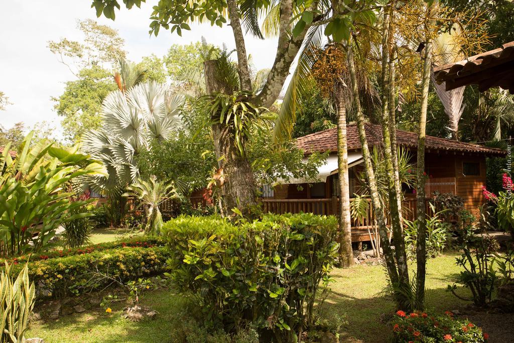 Casa Marcellino Lodge Cahuita Bagian luar foto