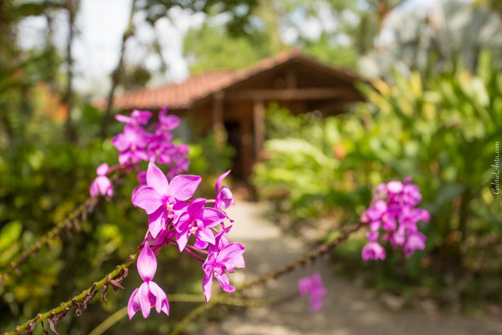 Casa Marcellino Lodge Cahuita Bagian luar foto