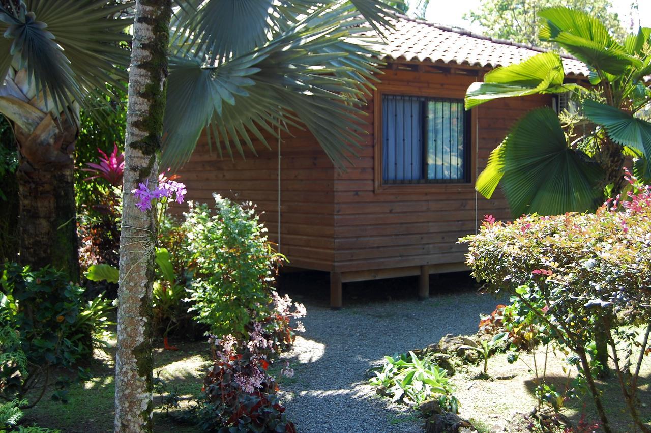 Casa Marcellino Lodge Cahuita Bagian luar foto