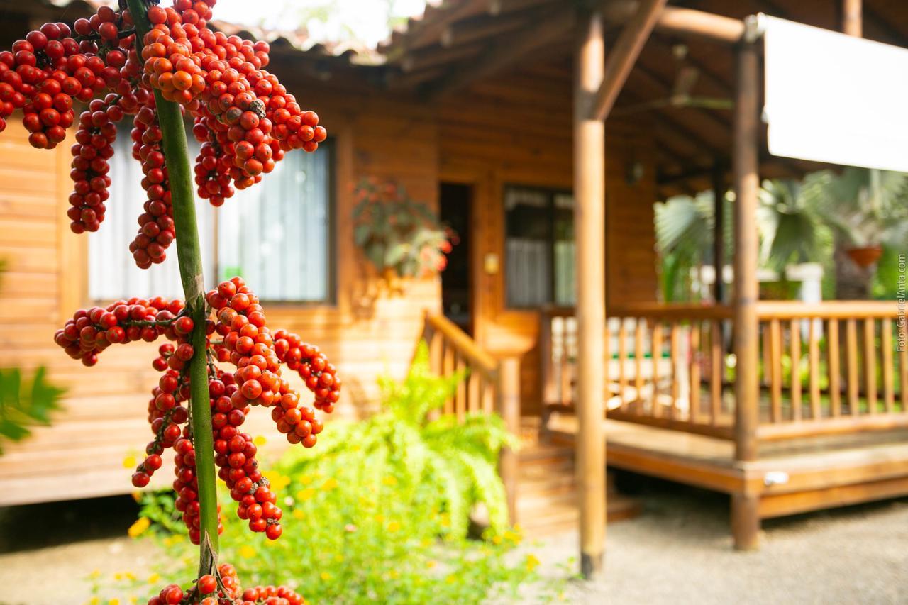 Casa Marcellino Lodge Cahuita Bagian luar foto