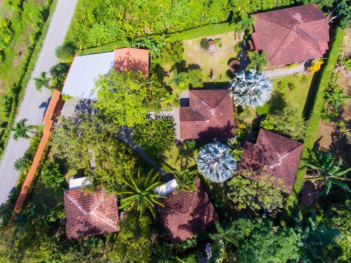 Casa Marcellino Lodge Cahuita Bagian luar foto